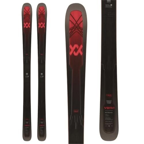 Best All-Mountain Skis 2025