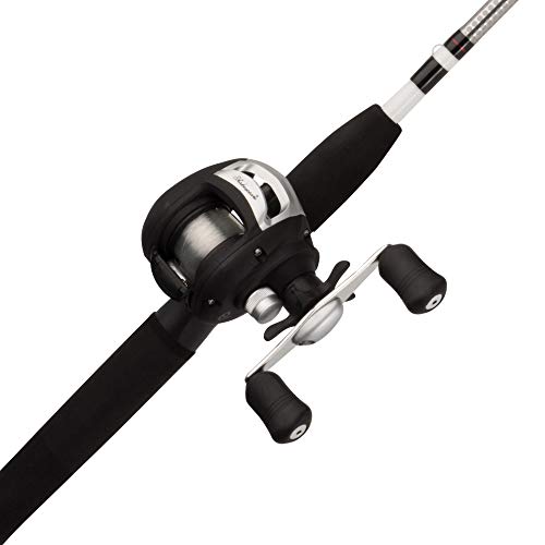 Best Baitcaster Combo under 100