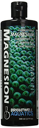 Best Light for Saltwater Tank
