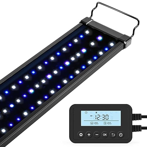 Best Marine Aquarium Lighting