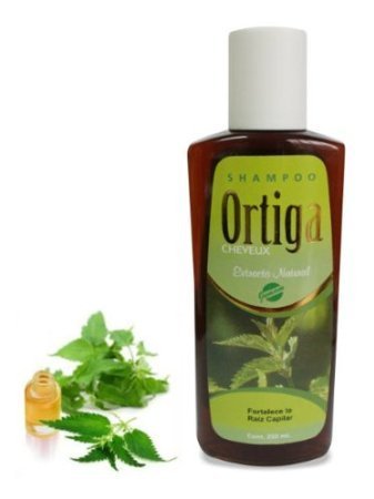 Best Nettle Shampoo for Hair Loss