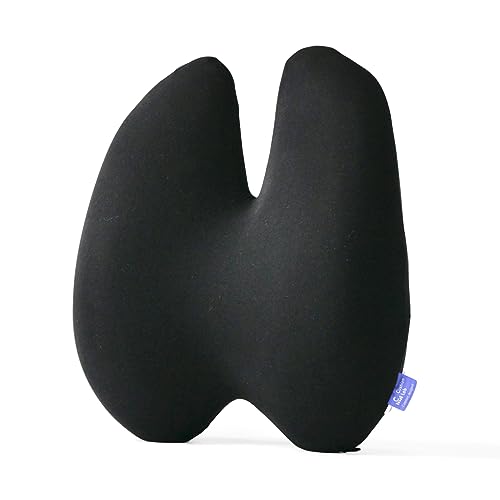 Best Sofa for Back Pain Sufferers