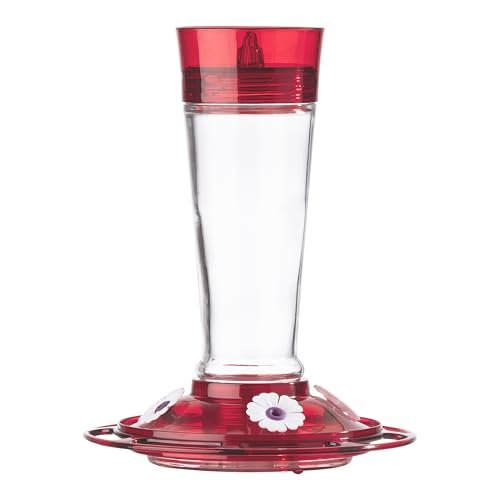 Best 1 Hummingbird Feeder