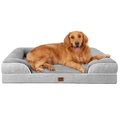 Best Bed for Labrador