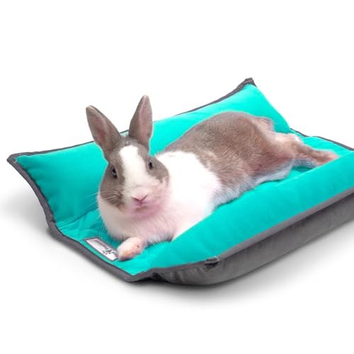 Best Beds for Bunnies