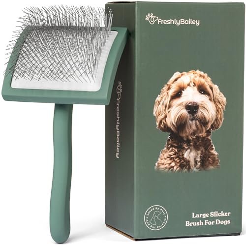 Best Brush for Labradoodle