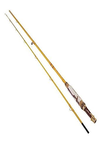 Best Budget Fly Rod