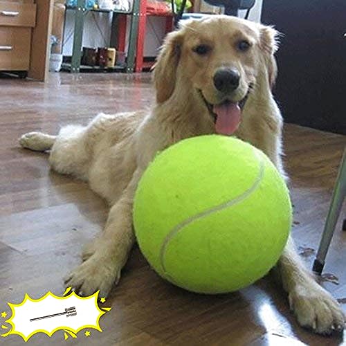 Best Dog Lover Gifts