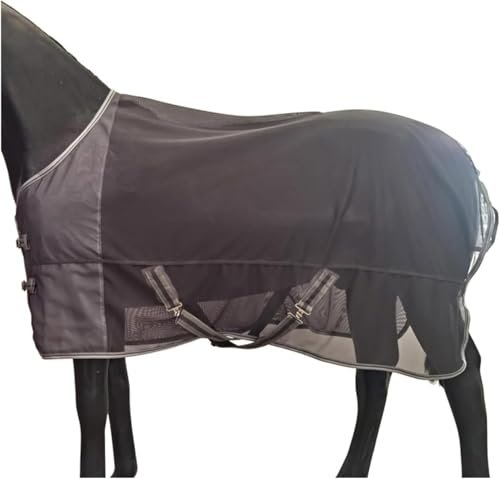 Best Equine Fly Sheet