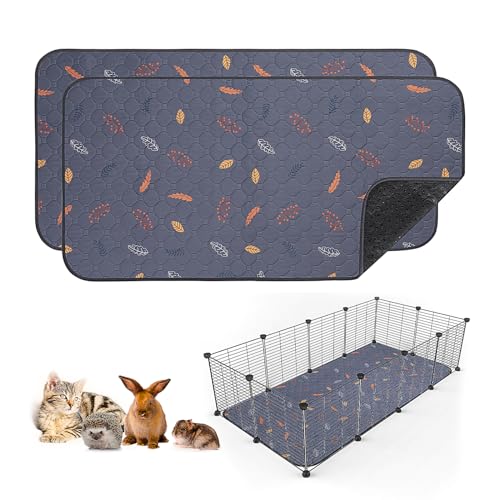 Best Flooring for Rabbits