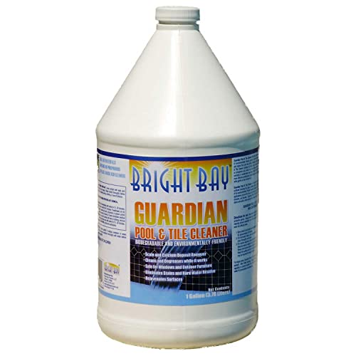 Best Pool Tile Cleaner