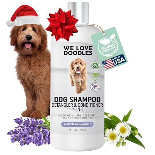 Best Shampoo for Labradoodle