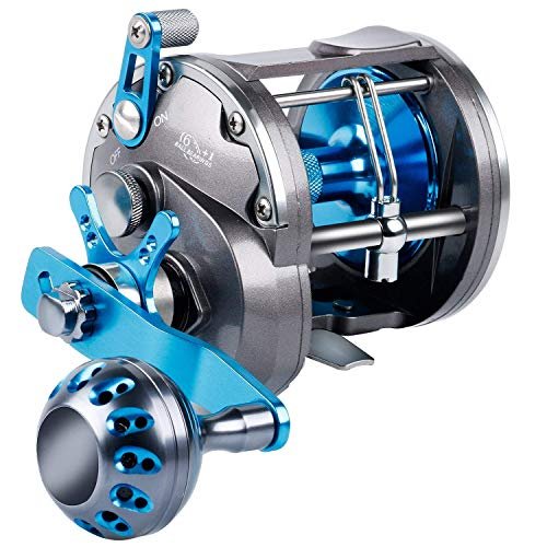 Best Shark Fishing Reel