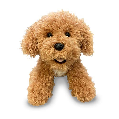 Best Toys for Goldendoodles