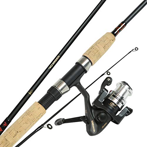 Best Travel Spin Rod
