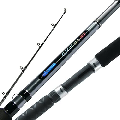 Best Trolling Fishing Rods