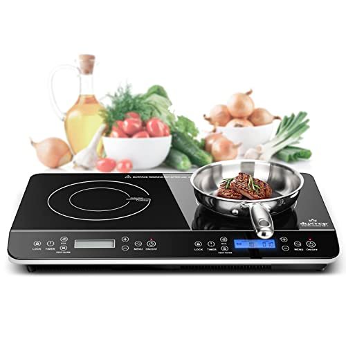 Best 2 Burner Induction Cooktop